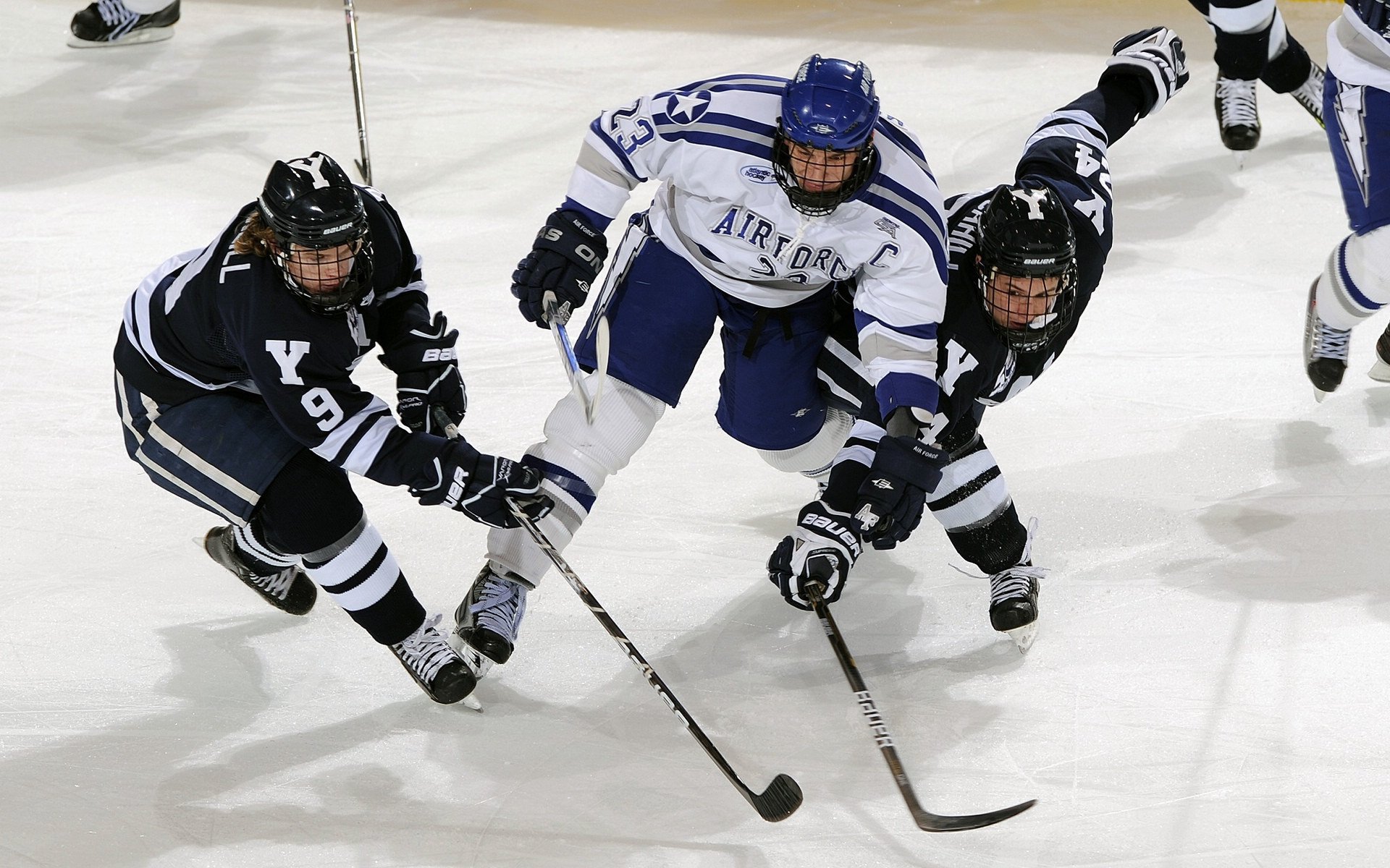 开云在线直播-年度焦点之战，北京队巅峰对决，胜出灰熊启示录