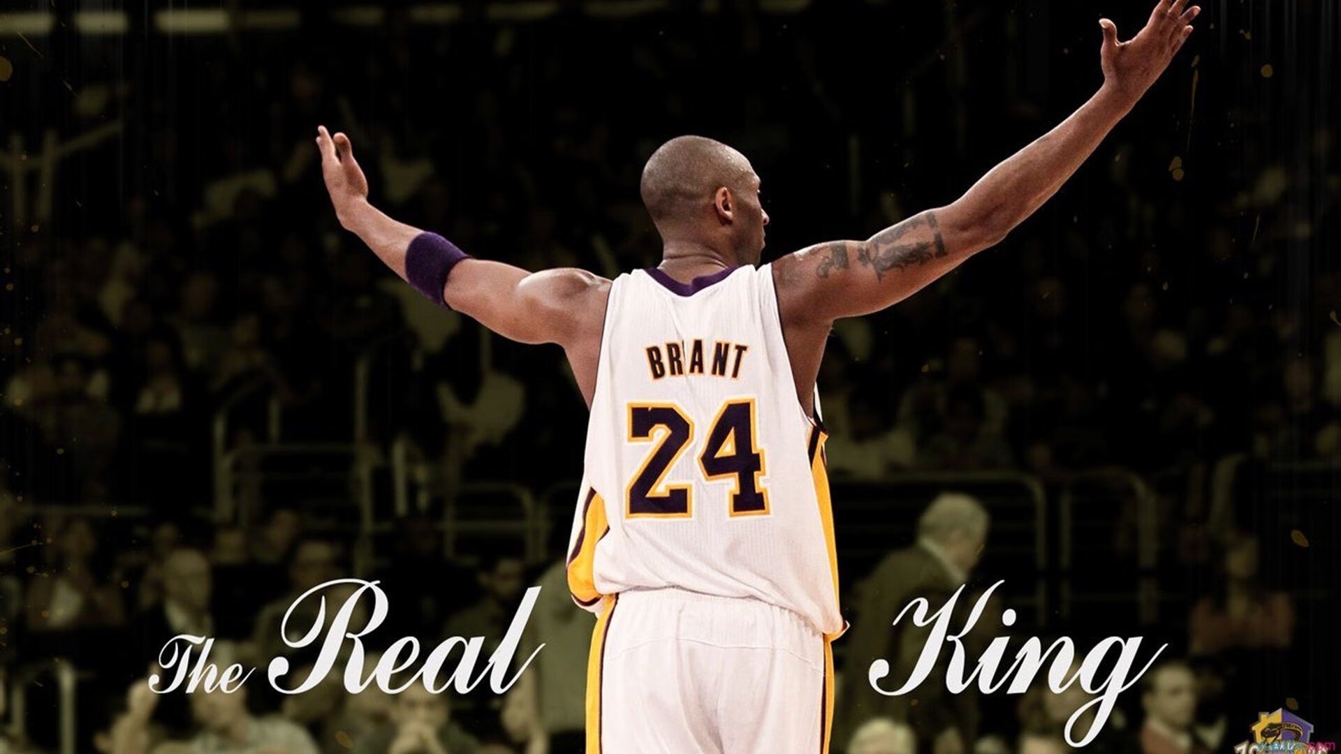 黄蜂强势拿下国王！德甲争冠战焦点战引爆欧洲足坛